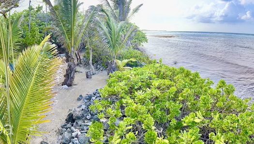 LARGE BEACHFRONT LOT – RUM POINT DRIVE – PERFECT ESTATE PARCEL LARGE BEACHFRONT LOT – RUM POINT DRIVE – PERFECT ESTATE PARCEL