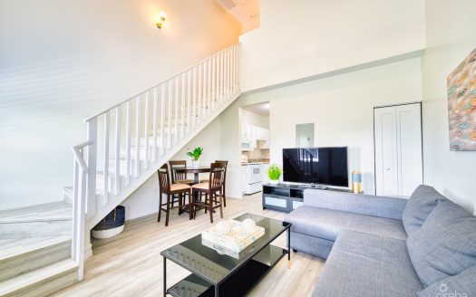 EXECUTIVE SUITES – 2 BED APARTMENT – GEORGETOWN – UNIT 30 EXECUTIVE SUITES – 2 BED APARTMENT – GEORGETOWN – UNIT 30