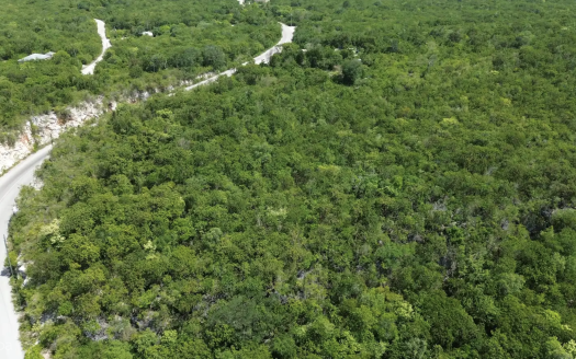 BLUFF EDGE AT THE CREEK