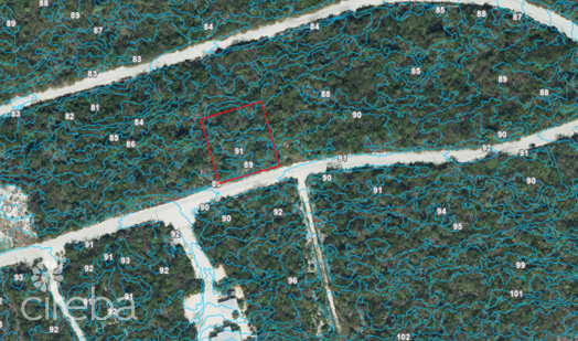 CAYMAN BRAC BLUFF LOT (0.2874 ACRE)
