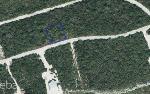 CAYMAN BRAC BLUFF LOT (0.2874 ACRE) CAYMAN BRAC BLUFF LOT (0.2874 ACRE)