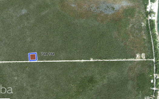 COLLIERS HOMESTEAD 1 ACRE COLLIERS HOMESTEAD 1 ACRE