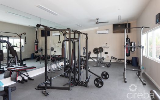 DOWNTOWN REACH – ONE BEDROOM