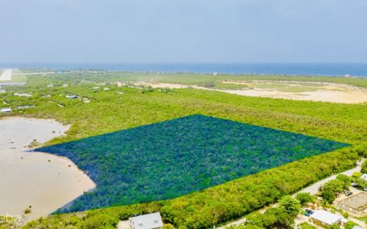ALEXANDER GROVE SUBDIVISION – CAYMAN BRAC – POND LOT 1 ALEXANDER GROVE SUBDIVISION – CAYMAN BRAC – POND LOT 1