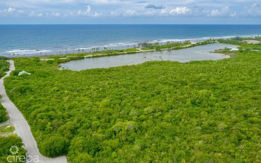 ALEXANDER GROVE SUBDIVISION – CAYMAN BRAC – POND LOT 3