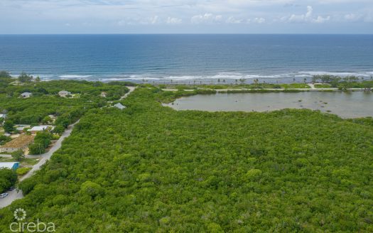 ALEXANDER GROVE SUBDIVISION – CAYMAN BRAC – LOT1