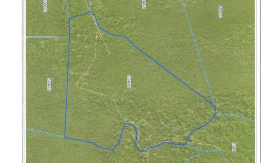 EAST INTERIOR LAND