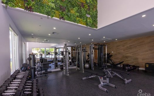 THE MEADOWS – MANGO 2 BEDROOM RESIDENCE