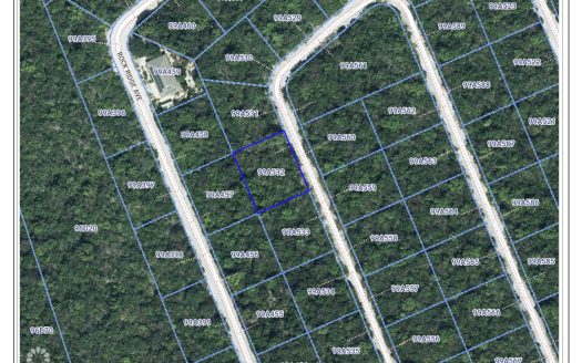 CAYMAN BRAC LOT