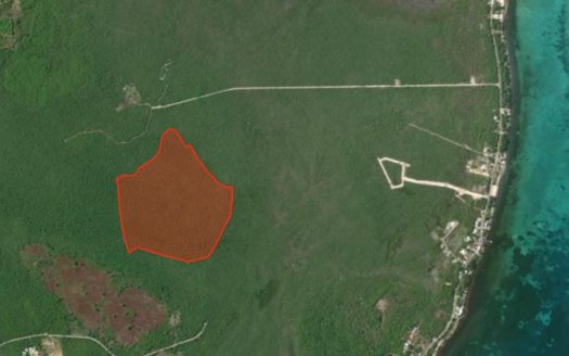 78 ACRES – COLLIERS