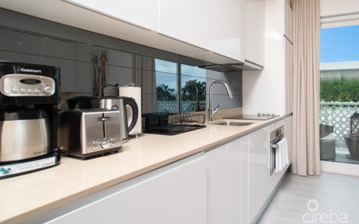 STUDIO PARADISUM AT THE GROVE