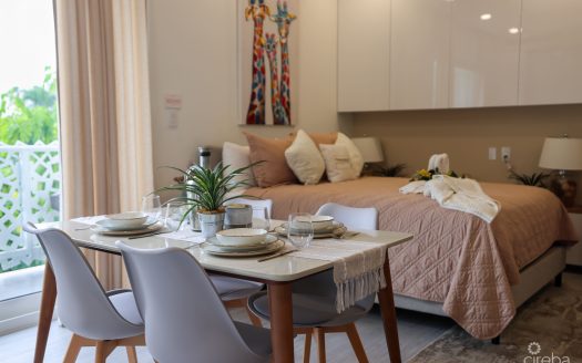 STUDIO PARADISUM AT THE GROVE