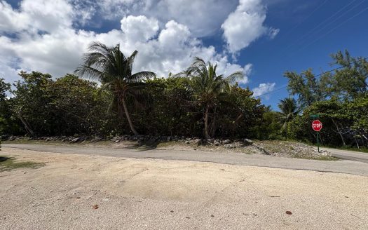 CAYMAN BRAC CORNER LOT WITH OCEAN VIEW