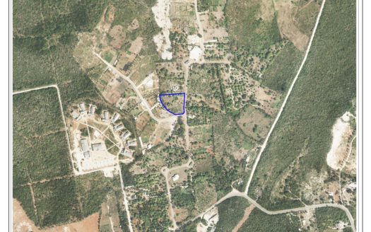 EAST END FARM LAND 1.0 ACRE WITH FRUIT TREES
