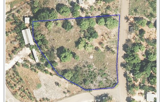 EAST END FARM LAND 1.0 ACRE WITH FRUIT TREES EAST END FARM LAND 1.0 ACRE WITH FRUIT TREES