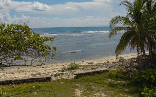 CAYMAN BRAC CORNER LOT WITH OCEAN VIEW