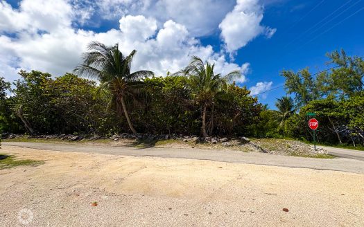 CAYMAN BRAC CORNER LOT WITH OCEAN VIEW